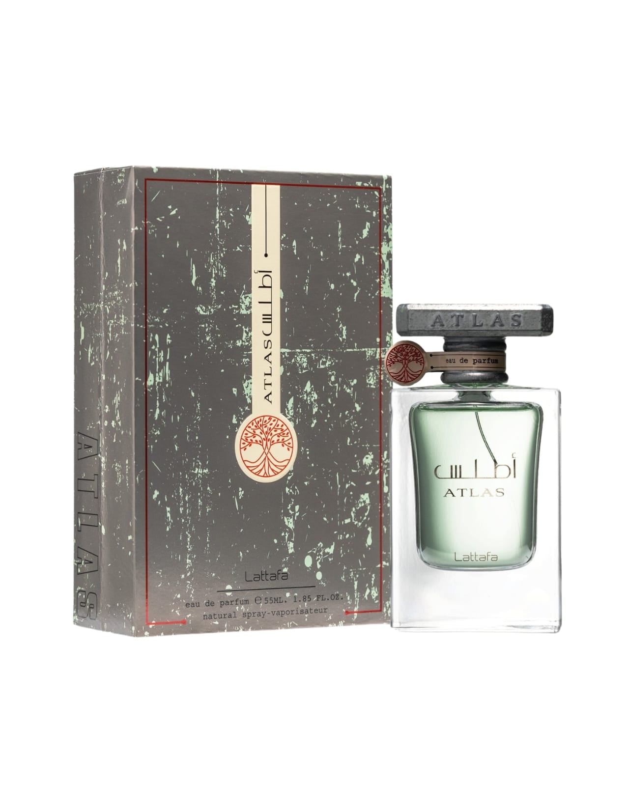 ATLAS 55 ML